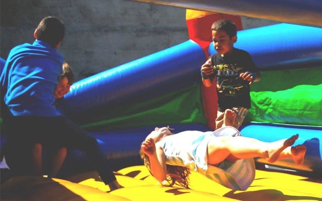 Gansbaai Funky Fynbos 20